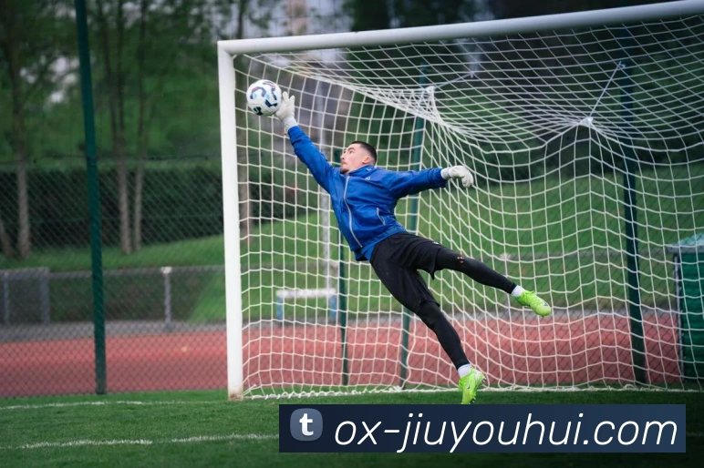 九游会J9官网APP 封面图